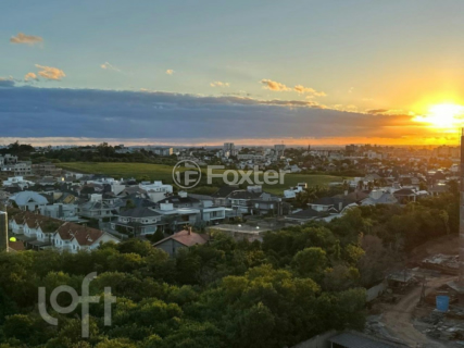 Image 31 - 838433