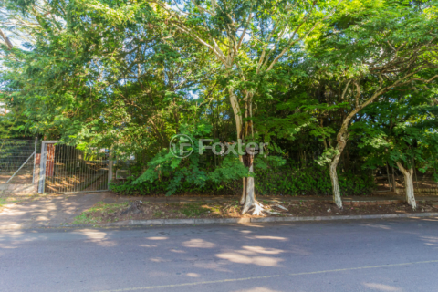 Image 41 - 845413