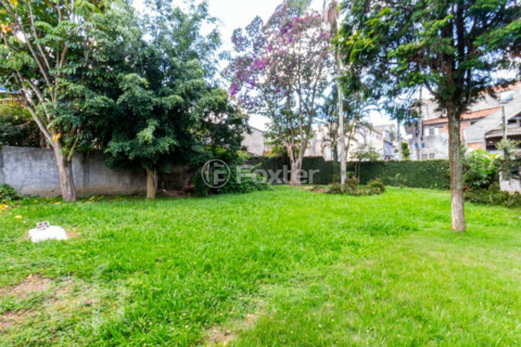 Image 37 - 847196