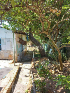 Image 25 - 848596