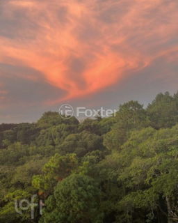 Image 50 - 856554