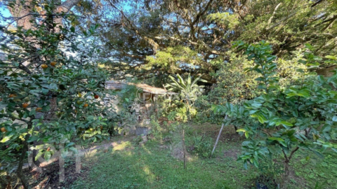 Image 42 - 856712