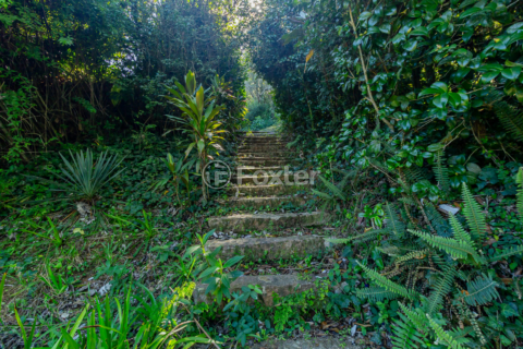 Image 25 - 857366