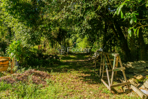 Image 38 - 857366