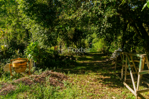 Image 39 - 857366