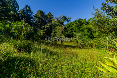 Image 40 - 857366