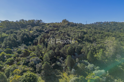 Image 50 - 857366