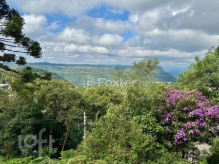 Image 36 - 860696