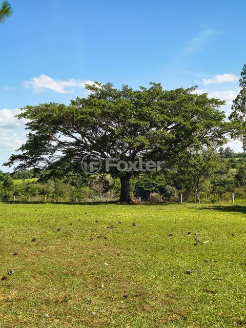 Image 24 - 864551
