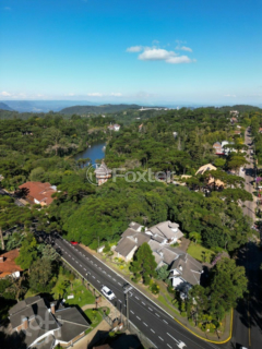Image 33 - 864581
