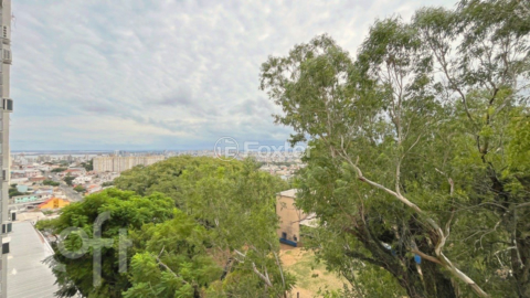 Image 21 - 864768