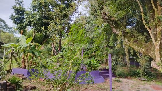 Image 36 - 866186