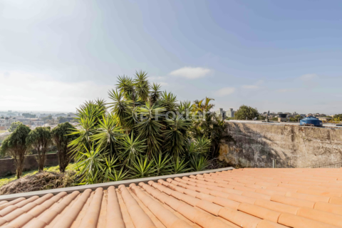 Image 33 - 867788