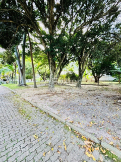 Image 30 - 874399