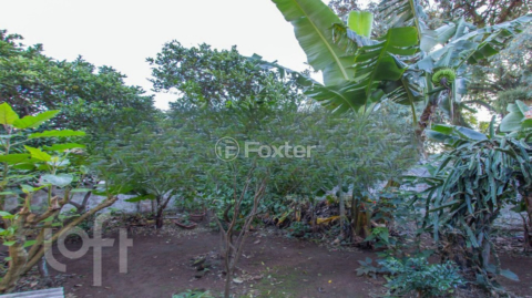 Image 36 - 875693