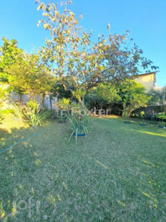 Image 44 - 876533