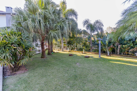 Image 35 - 876560