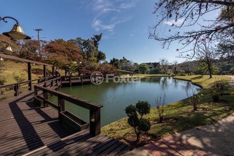 Image 45 - 877844