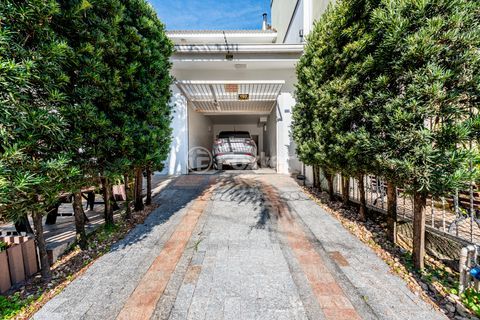 Image 37 - 885195