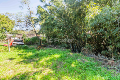 Image 38 - 887711