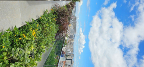 Image 35 - 889566