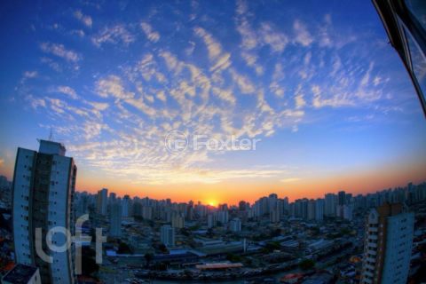 Image 28 - 892538
