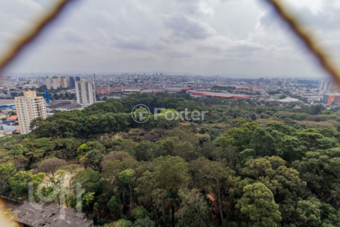 Image 24 - 892764