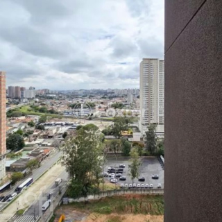 Image 37 - 895181
