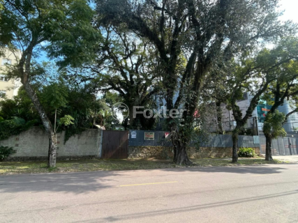Image 3 - 896364