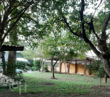 Image 37 - 896952
