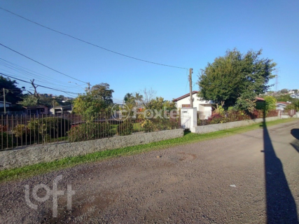 Image 16 - 896968