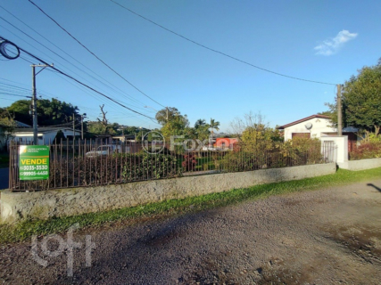 Image 21 - 896968