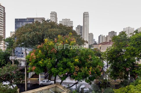 Image 33 - 897327