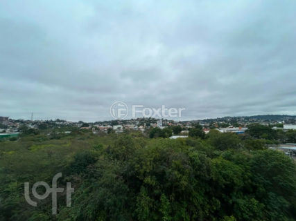 Image 42 - 916492