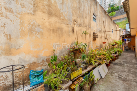 Image 58 - 916754