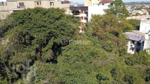 Image 65 - 917267