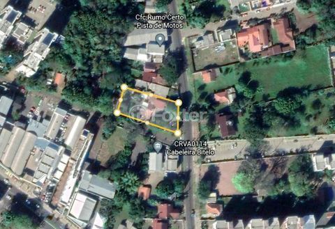 Image 27 - 917383