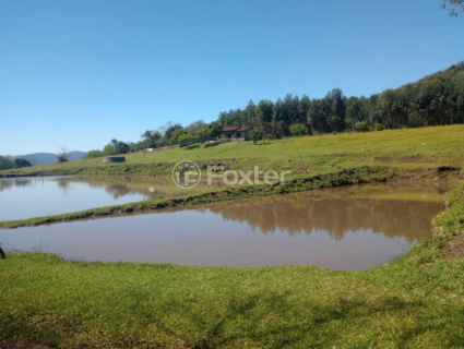 Image 5 - 917422