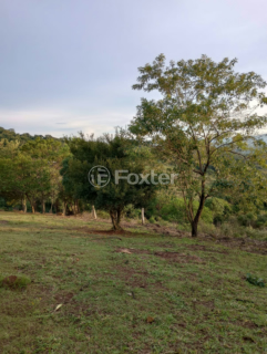 Image 10 - 917422