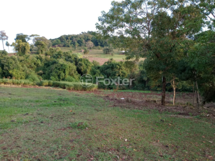Image 9 - 917422