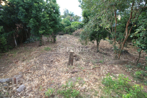 Image 20 - 917745