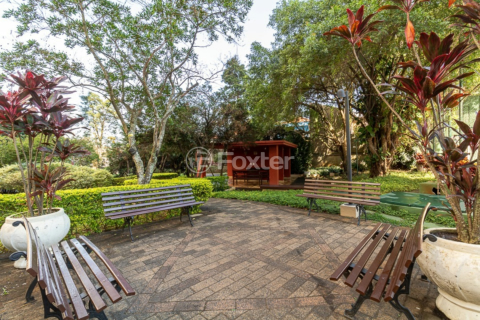 Image 34 - 919354