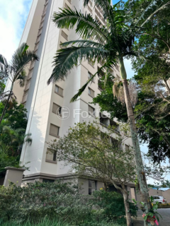 Image 25 - 919354