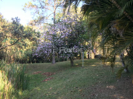Image 56 - 919423
