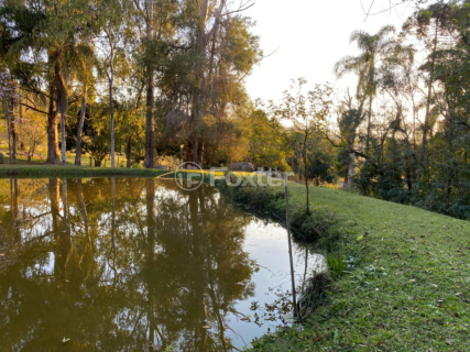 Image 60 - 919423