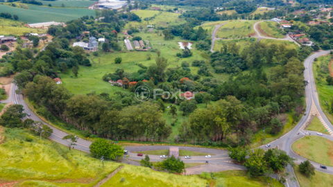 Image 102 - 919423