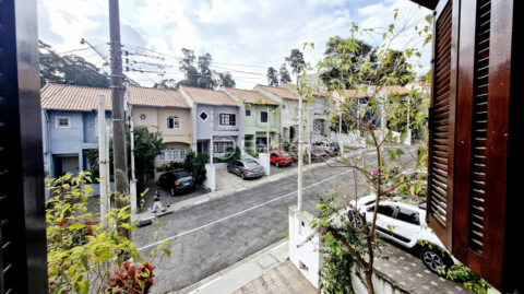 Image 37 - 923893