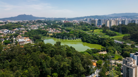 Image 45 - 924350