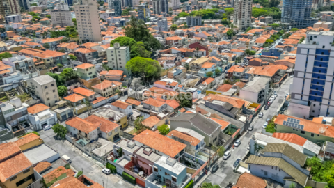 Image 61 - 925281