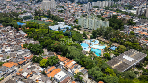 Image 31 - 925409